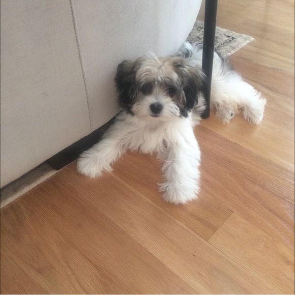 Meet your Posher, Katherine - Picture 6 of 8